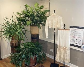 Gorgeous HUGE old live plants for sale! Antique clothing, small Persian rug