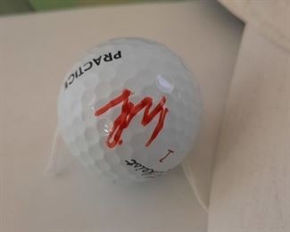 Golf Tiger Woods Gary Player Arnold Palmer Serena Williams Steffi Graff Tennis Baseball