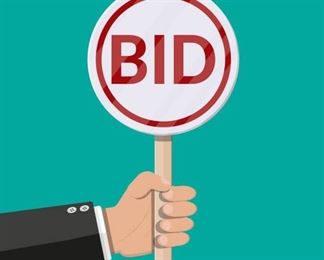 ONLINE BID PADDLE