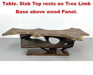 Lot 540 Live Edge Tree Slab Coffee Table. Slab Top rests on Tree Limb Base above wood Panel. 
