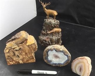 Agate Geodes and Petrified Wood