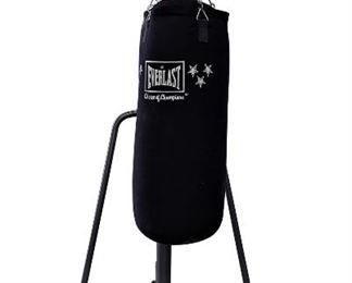 Ringside Punching Bag Stand And Everlast Canvas Bag