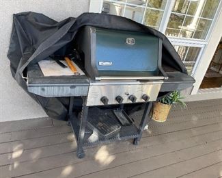 Grill and cover