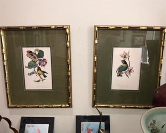 A pair of lovely bird prints