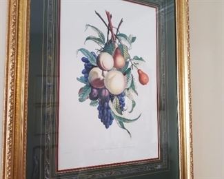 Lovely, framed, fruit print.