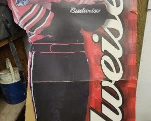 Dale Earnhardt Jr Standup