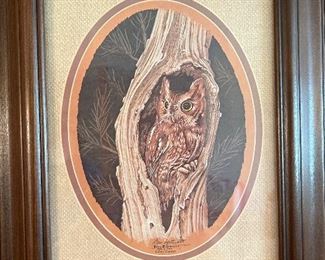 Don Northcutt Owl Print
