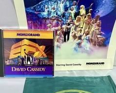 wdavid cassidy at mgm grand in efx show a1041 t