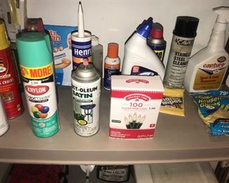Items Located In The Garage