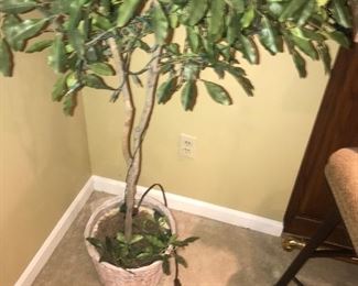 Items Located In The Lower Level Family Room