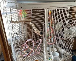 Large bird cage