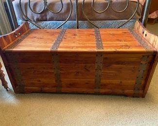 Cedar trunk