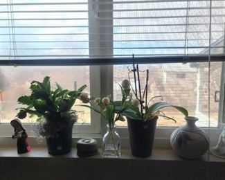 Calling all Plant People!