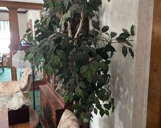 . . . everybody needs a faux ficus