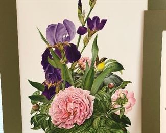 $150 - Set of 17 Jeanne Holgate 1975 with Wooden case.  Prints 31x25 case 34x28