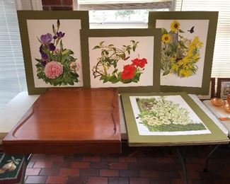 $150 - Set of 17 Jeanne Holgate 1975 with Wooden case.  Prints 31x25 case 34x28
