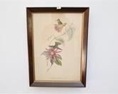 Lot 36 Framed Hummingbird Artwork