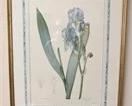 Lot 54 Floral Artwork