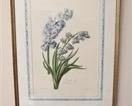 Lot 53 Frame Floral Artwork