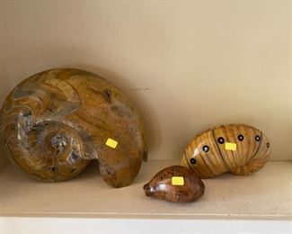 Ammonite  spiral  Fossils  Large, Med. Small