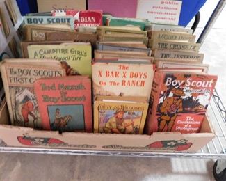 Vintage boy scout books