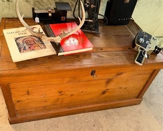 Very Nice Cedar Trunk