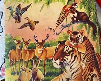 Wonders of the Animal Kingdom Book.