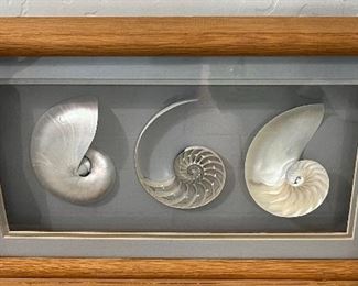 Shell Art