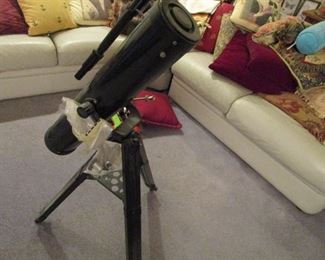 Downstairs family room