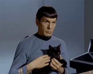 Spock?! How did you sneak in here?