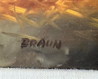 Braun Signature