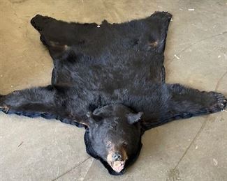 Bear Rug