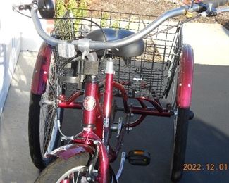 Schwinn trike