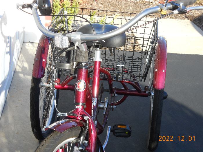 Schwinn trike