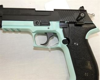 VIEW 6 22LR FIRFLY GSG 22LR TERQ.