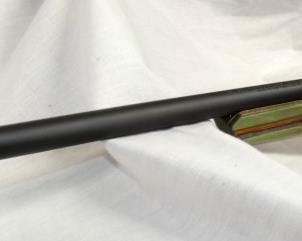 VIEW 7 SAVAGE 22MAG. 10 RDS