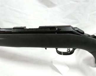 VIEW 7 RUGER AMERICAN 22MAG.
