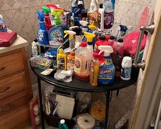 Lots of cleaning supplies