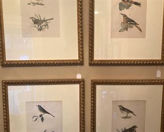 Framed bird selections
