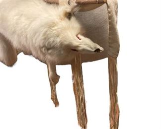 Taxidermy Archery Bow & Arrow Quiver
