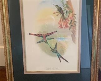 Gould Print - 25” by 31”