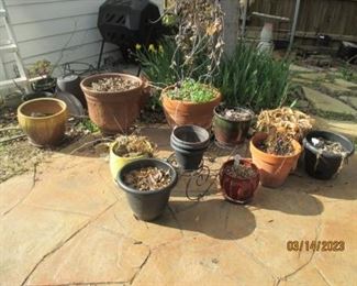 Assorted pots and plants