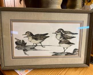 J. Swan Wildlife Artist Bird Print (framed- matted - signed- numbered 59/250,