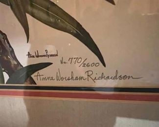 2 Birds by Anne Worsham Richardson (framed – signed – numbered 770/2600,