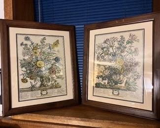 Botanical Framed Prints (October & November),
