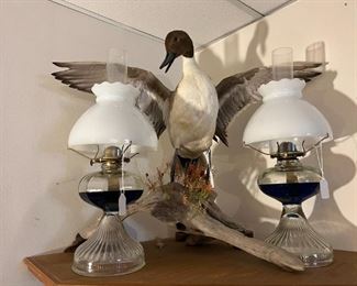 Stuffed Goose & Fluid Lamps