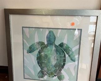 Turtle Picture