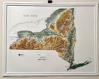 Hubbard Scientific 1993 New York 3-D Map 1st Edition $25