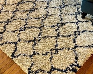 Pottery Barn Low Shag Rug
