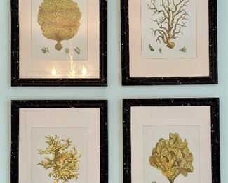 (4) Decorative Coral Prints
